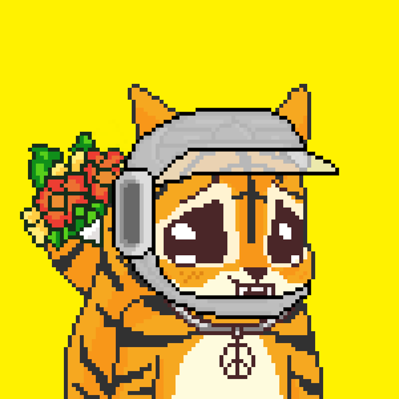 Pixel Squirrels #9577